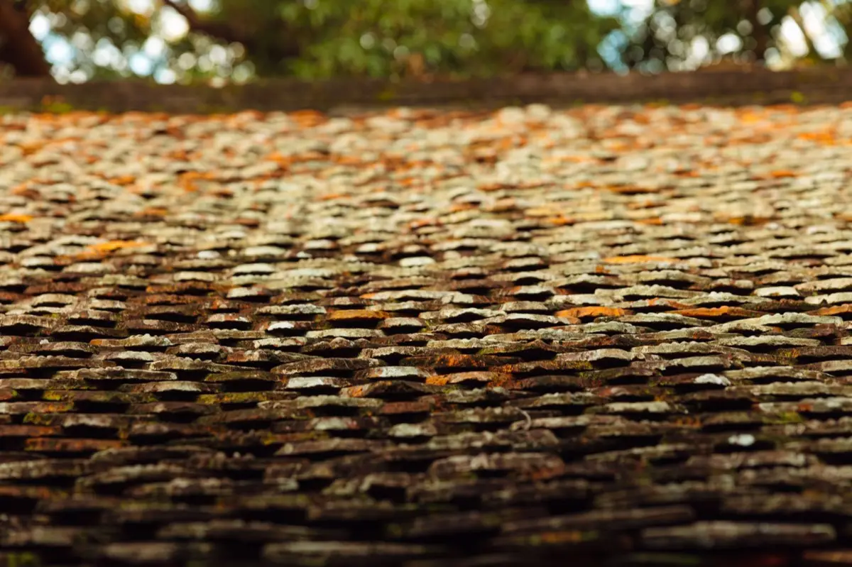 Emergency Tarping in Pasadena, TX